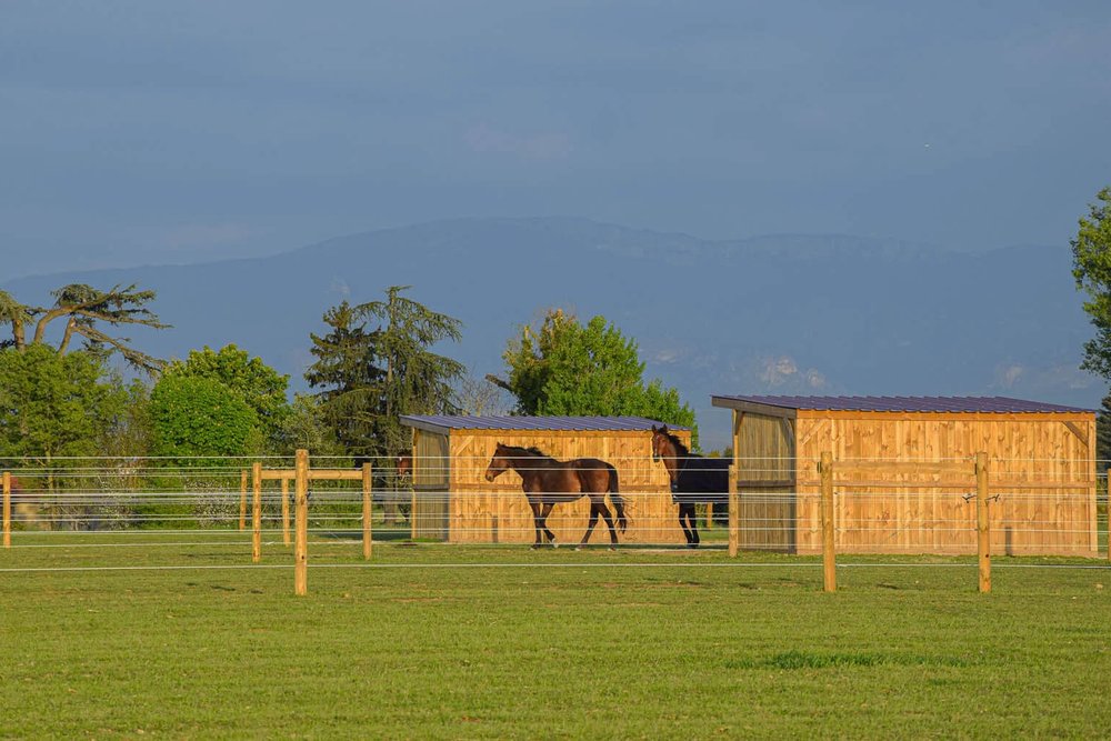 Abri fixe pour chevaux installé dans un paddock, construction annexe pouvant nécessiter une déclaration préalable selon sa surface