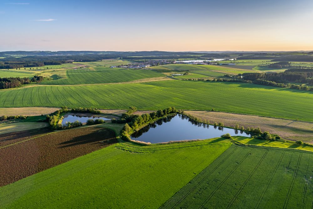 Terrain agricole avec cultures et clôtures illustrant un bail rural entre propriétaire et agriculteur locataire