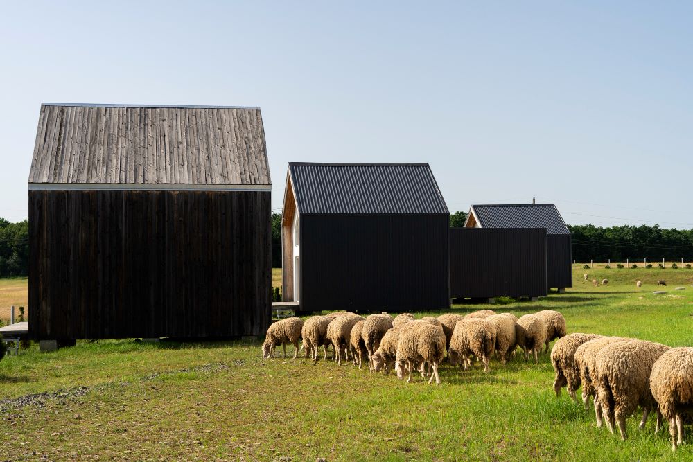 Bâtiment d'élevage et hangar de stockage de matériel agricole en zone agricole avec permis de construire obtenu