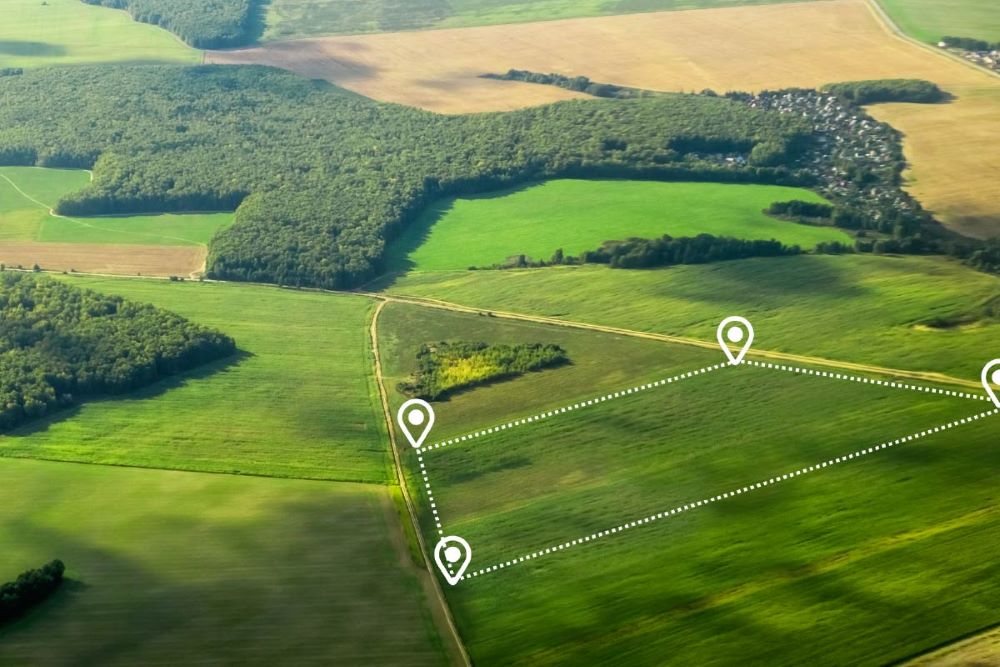 Bornes de délimitation posées sur un terrain lors d'un bornage préalable au document d'arpentage