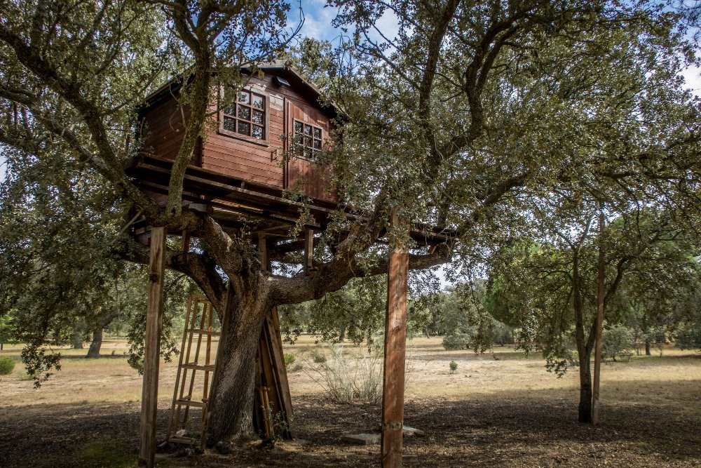 Cabane perchée construite dans un grand arbre de jardin, structure en bois soumise aux règles habituelles des constructions annexes