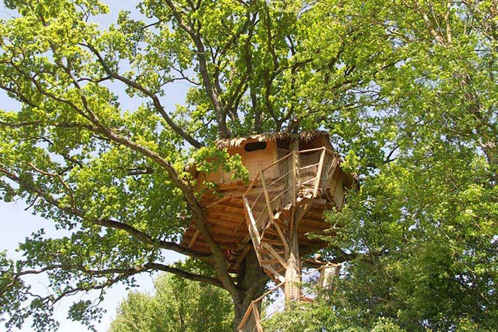 Cabane perchée avec plancher et échelle d'accès fixée dans un arbre, hauteur mesurée depuis le terrain naturel