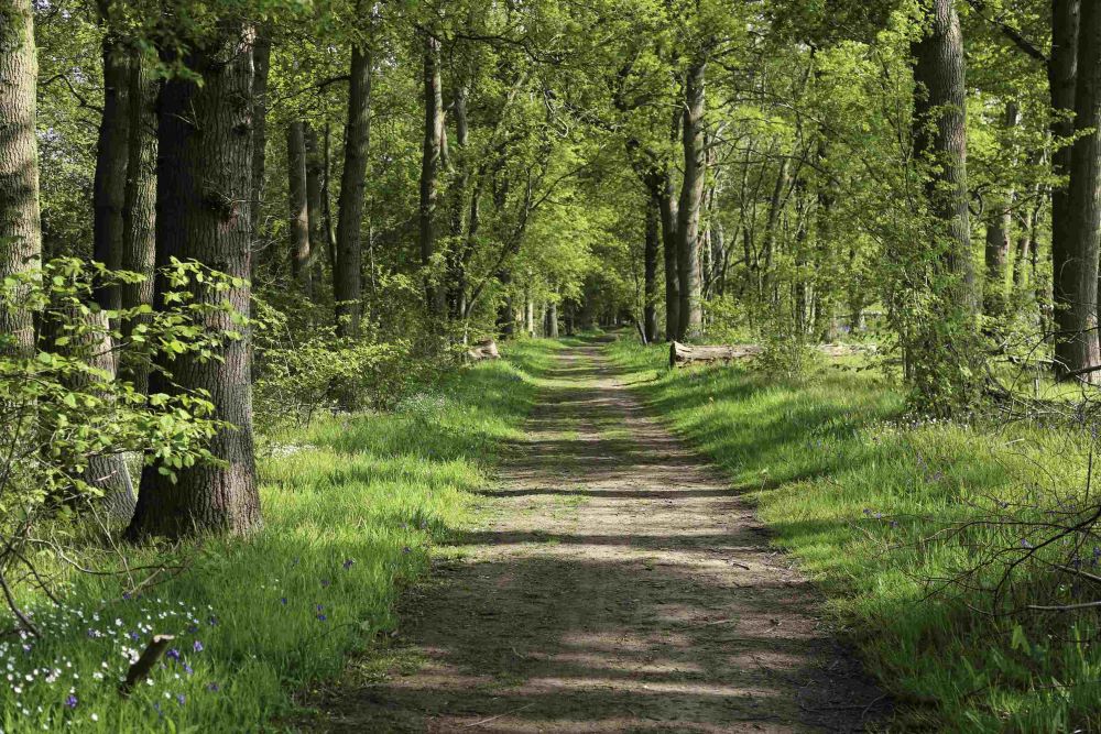 Chemin d'accès formalisé par servitude de passage par acte notarié entre deux propriétés voisines