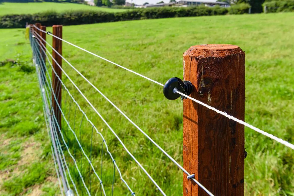 Clôture électrique délimitant un parc à chevaux sur un terrain agricole, équipée d'un électrificateur normalisé