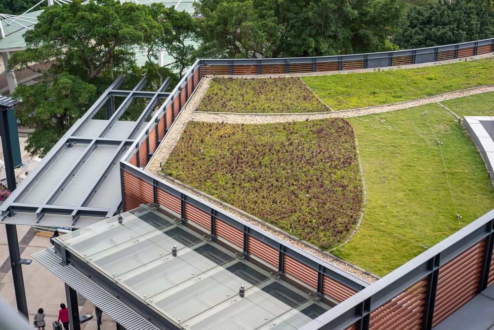 Toiture végétalisée sur un bâtiment urbain contribuant au coefficient de biotope par surface imposé par le PLU