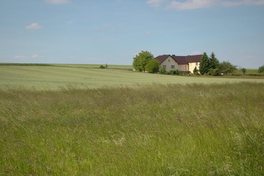 Maison individuelle et terrain agricole en zone A avec champs cultivés et paysage rural