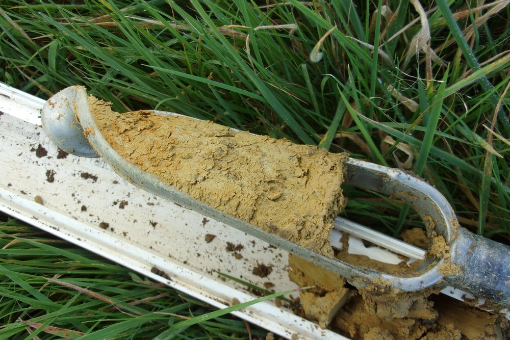 Expertise sur le terrain identifiant une zone humide et delimitant les contraintes d implantation pour un permis