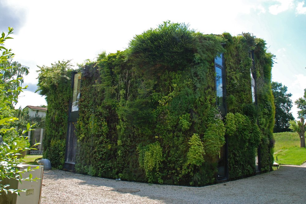 Façade de maison individuelle végétalisée par des plantes grimpantes le long d'un treillage