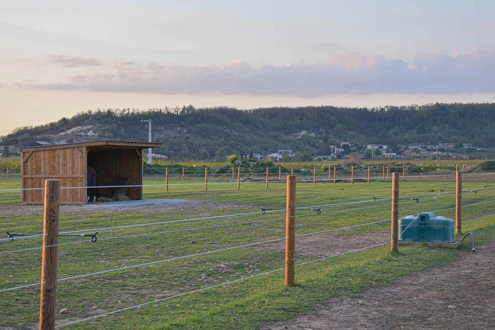 Piquets et fils électrifiés délimitant un paddock pour chevaux, avec plusieurs rangs adaptés à la hauteur de l'animal