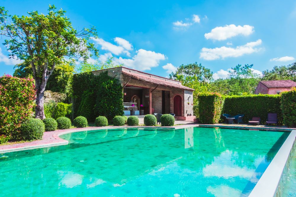 Pool house moderne en bois construit au bord d'une piscine dans un jardin de maison individuelle