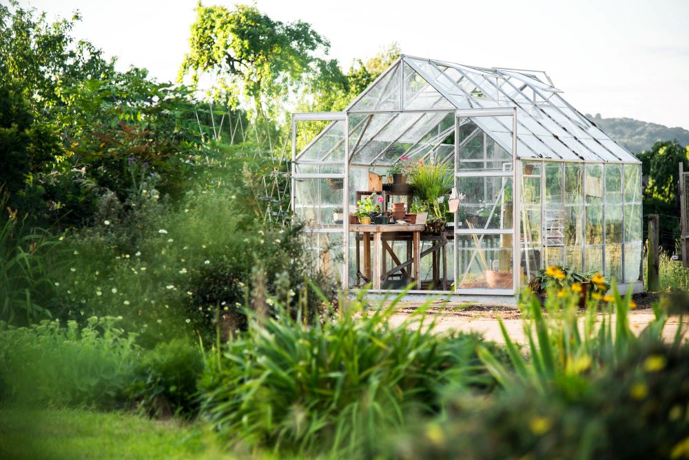 Grande serre de jardin en aluminium et verre installée dans le jardin d'une maison individuelle