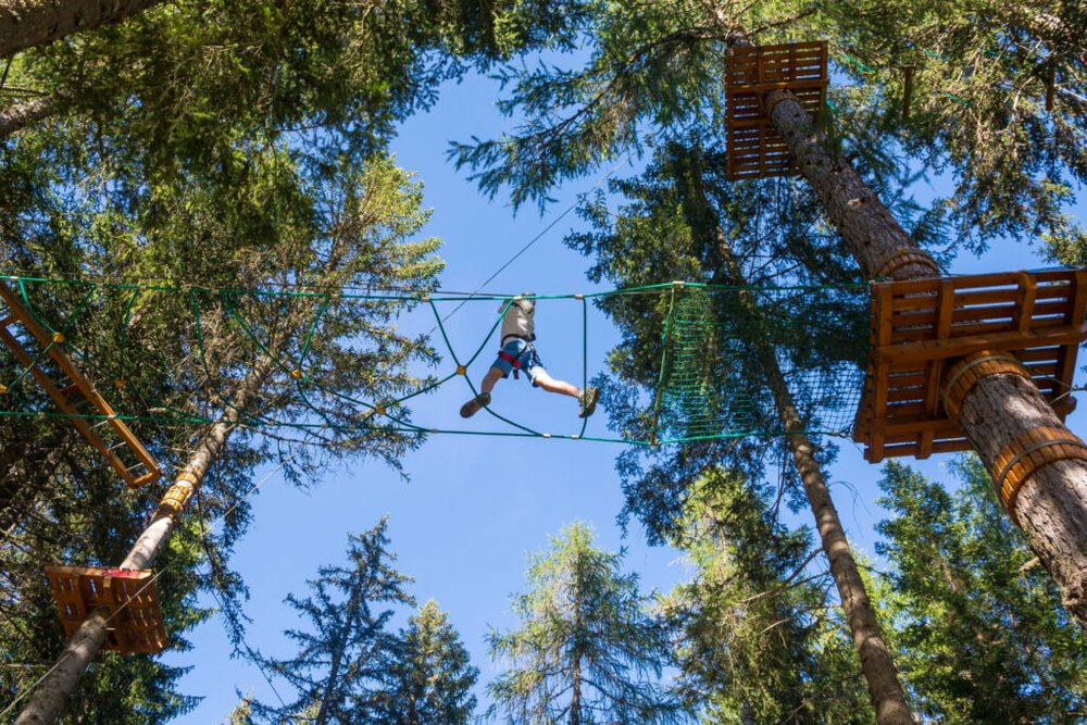 Parcours accrobranche aménagé dans une forêt avec plateformes et tyroliennes entre les arbres